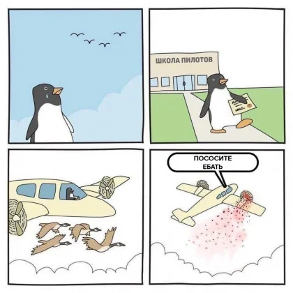школа пилотов по пингвиньи